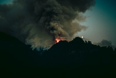 白天森林火灾